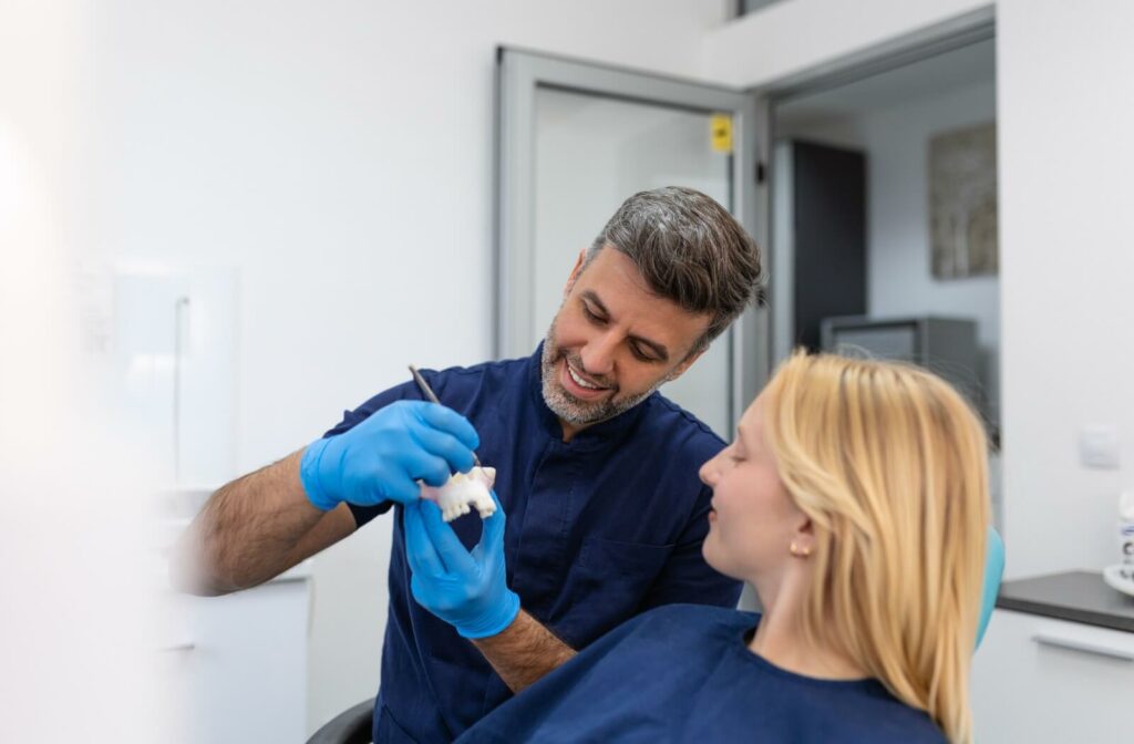 Dentist showing dental model to a patient in a clinic.