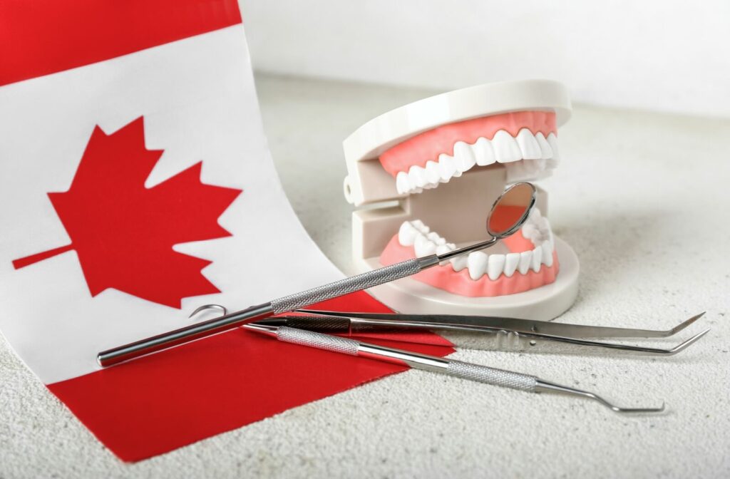 A model of pristine, healthy adult teeth next to several dental tools and a crisp Canadian flag